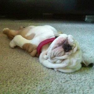 Meet your Posher, Linda